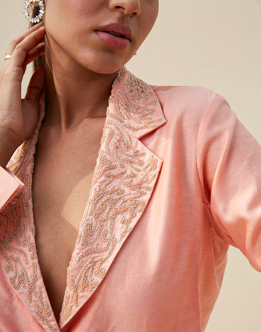 Chanderi Blazer Collar Dress
